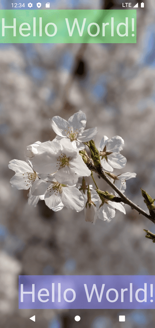 Android (API level >= 30) で完全に透明なSystemBar (NavigationBar + StatusBar)を